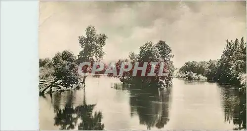 Cartes postales moderne Cenos Vienne La Vienne et le Iles