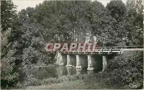 Cartes postales moderne Liguge Vienne Pont de la Bourdigale