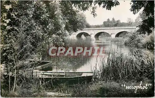 Cartes postales moderne Vivonne Pittoresque Un coin de peche