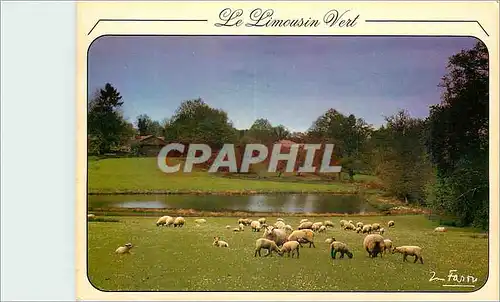 Cartes postales moderne Le Limousin Vert Antique paysage du Limousin