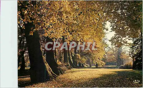 Moderne Karte Automne en Limousin Tu verses ta douceur pale soleil d automme