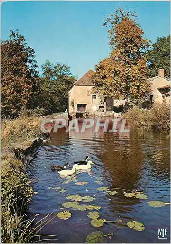 Cartes postales moderne Le Limousin Pittoresque Vieux Moulin
