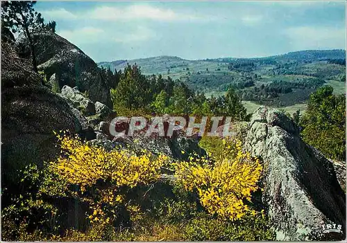 Moderne Karte Le Limousin Touristique Deux touffes de genets ont fleuri Et toute la montagne a souri