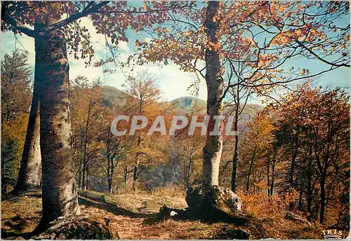 Cartes postales moderne Limousin Pittoresque Qui n a senti le charme de l automne
