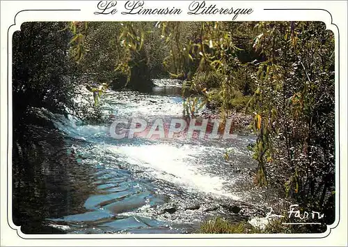 Cartes postales moderne Le Limousin Pittoresque Cours d eau en Limousin Je suis Souveraine arbres plantes et fleurs se p