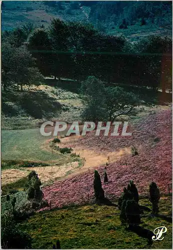 Cartes postales moderne Image du Limousin