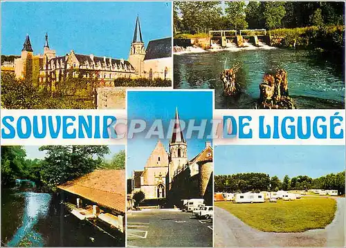 Cartes postales moderne Souvenor de Liguge En Poitou Liguge Vienne Abbaye St Martin Vieux lavoir sur le Clain Eglise abb