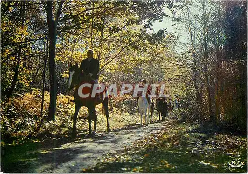 Moderne Karte Promenade Equestre en Limousin