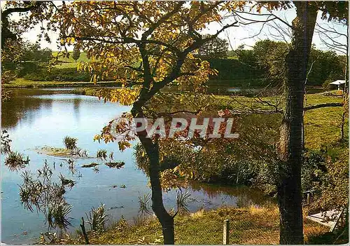 Cartes postales moderne Le Limousin Pittoresque Pays d eau et de Verdure