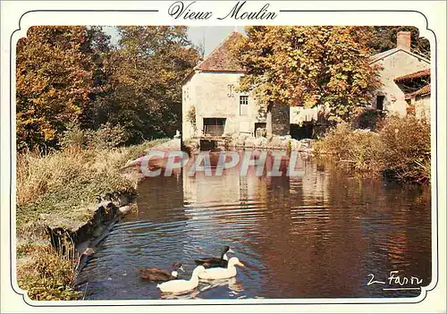Cartes postales moderne Vieux Moulin