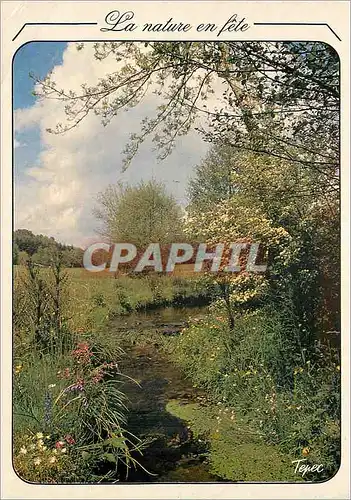 Cartes postales moderne La nature en fete Petit ruisseau aux eaux cristallines tu glisses doucement sans bruit au millei