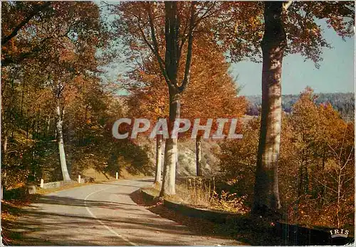 Cartes postales moderne Automne en Limousin Les longs jours sont passes