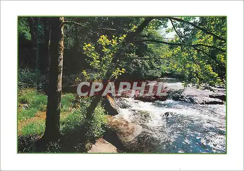 Cartes postales moderne Couleurs et Lumiere de France Limousin Pays des Millie Sources