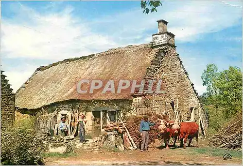 Cartes postales moderne Vieille ferme couverte de chaume Attelage B�ufs