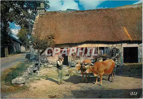 Cartes postales moderne En Limousin La ferme au toit de chaume