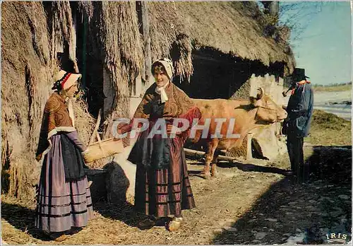 Cartes postales moderne En Limousin Les Travaux de la Ferme