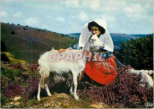 Cartes postales moderne Le Limousin Touristique Les Monedieres Chevre