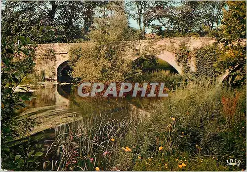 Cartes postales moderne Saint Junien Hte Vienne Le Pont Sainte Elisabeth