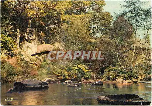 Cartes postales moderne Saint Junien Haute Vienne Les bords de la Glane ou le peintre Corot pulsa souvent son inspiratio