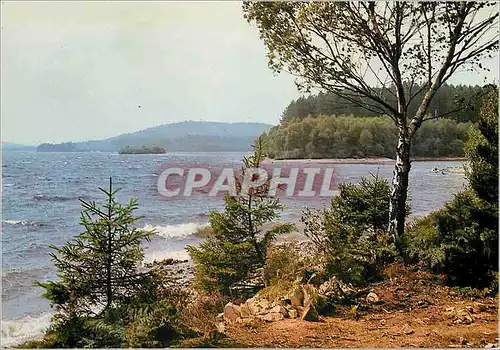 Cartes postales moderne Le Limousin Pittoresque Entre Royere et Peyrat le Chateau Les bords du lac de Vassiviere