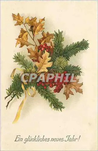 Cartes postales Ein gluckliches neues Fahr