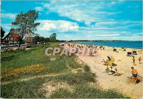 Cartes postales moderne Ostseebad Haffkrug