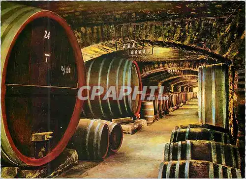 Cartes postales moderne Mayschosser Winzer Verein Alteste und Gruss