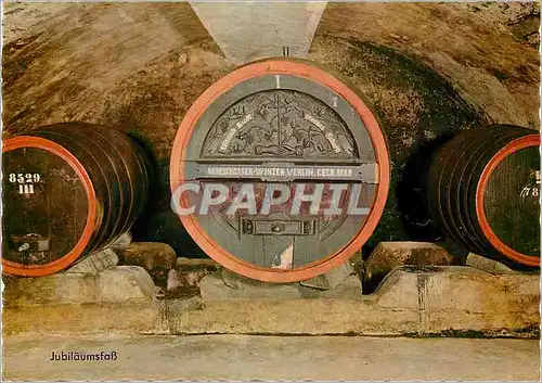 Cartes postales moderne Mayschosser Winzer Verein Alteste und Gruss Winzer Genossenschaft Deutschland Gegrundet Mayschos