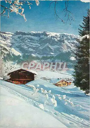 Cartes postales moderne Flims mit Flimser Stein Graubunden
