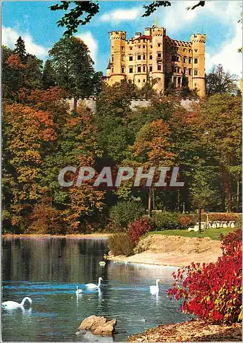 Cartes postales moderne Chateau royal de Hohenschwangau