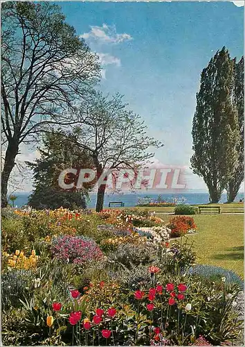 Cartes postales moderne Am Bodensee