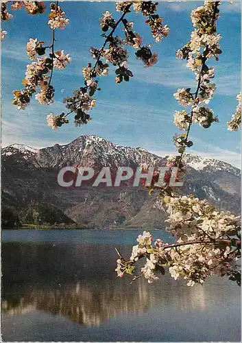 Cartes postales moderne Fruhling am Kochel See Obb