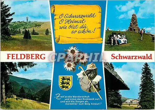 Cartes postales moderne Feldberg Schwarzwald