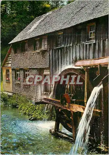 Cartes postales moderne Muhle im Schwarzwald