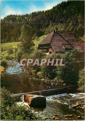 Cartes postales moderne Bauernhof im Schwarzwald