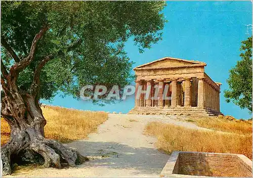 Cartes postales moderne Agrigento Temple de la Concorde