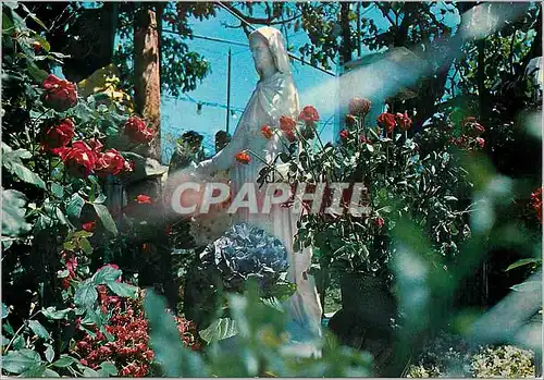 Cartes postales moderne S Damiano di S Giorgio Statue de la Vierge des Roses