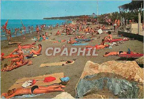 Cartes postales moderne Villaggio Francese di Cecina Les chemins du soleil