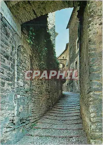 Cartes postales moderne Spoleto Scorcio artistico