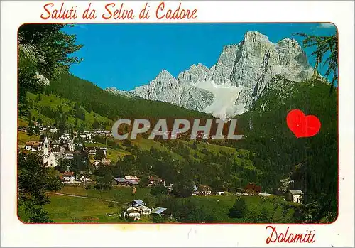 Cartes postales moderne Dolomiti Val Florentina Selva du Cadore Monte Pelmo