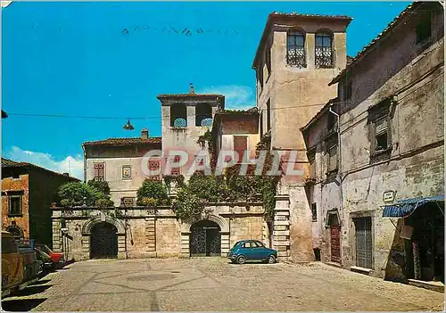 Cartes postales moderne Vasanello Piazza della Liberta