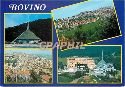 Cartes postales moderne Bovino