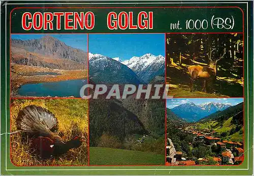 Moderne Karte Corteno Golgi Valcamonica Turistica Regione Lombardia