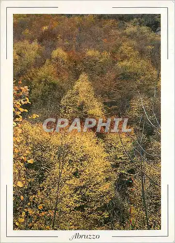 Cartes postales moderne Abruzzo Valle dell Orfento