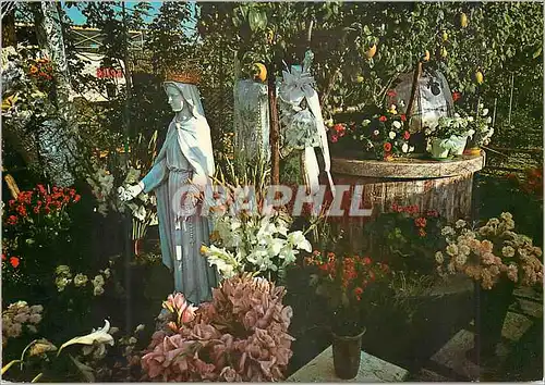 Cartes postales moderne S Damiano di S Giorgio Vierge des Roses