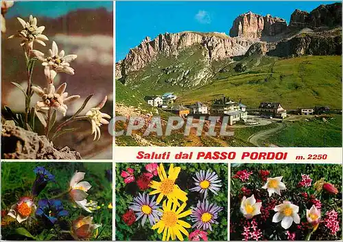 Cartes postales moderne Saluti dal Passo Pordoi