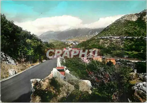 Cartes postales moderne Maratea Route riveraine et panorama dans le fond