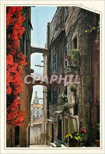 Cartes postales moderne Riviera Ligure Vue pittoresque