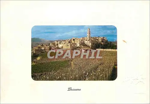 Cartes postales moderne Bussana Vecchia Village destroyed during the earthquake