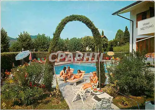 Cartes postales moderne Hotel Nettuno Bardolino Lago di Garda Gardasee